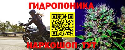 jwh Можга