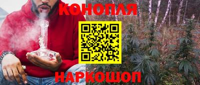 spice Моздок