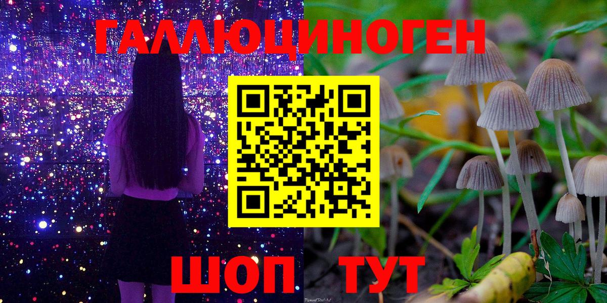 Псилоцибиновые грибы MAGIC MUSHROOMS  Вход с VPN  Галлюциногенные грибы мухоморы  Гусев 